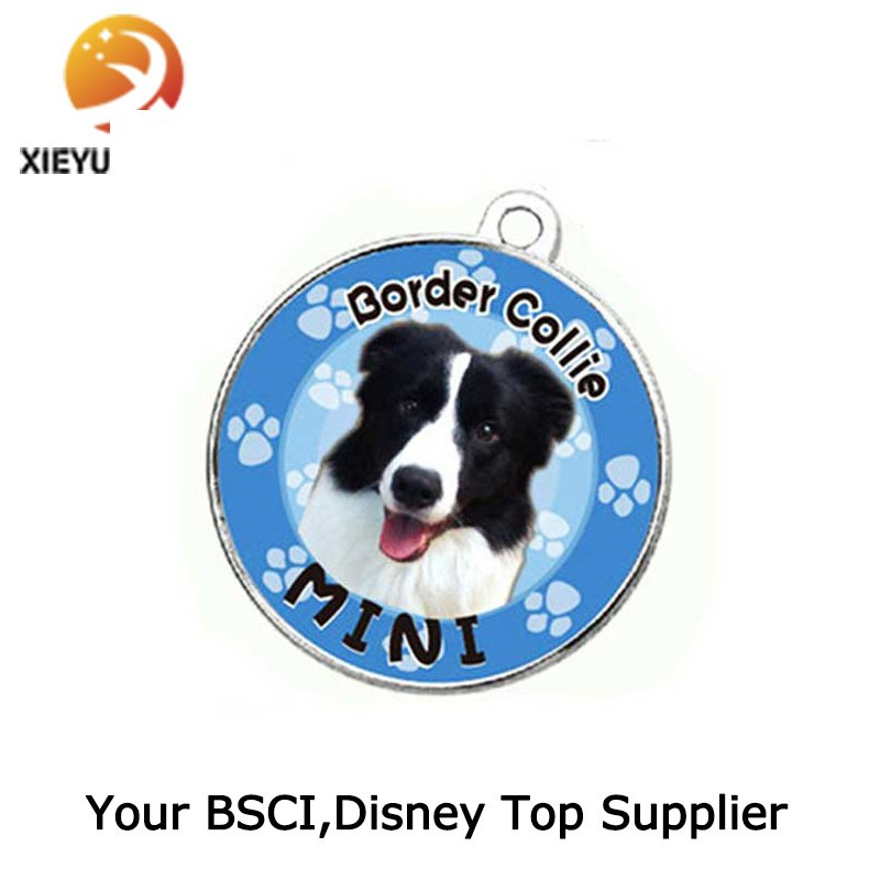Engraved and Filled in Color Logo Dog Tag with Ballchain