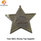 2017 New Products Star Shape Custom Metal Medal (XY-mxl9407)